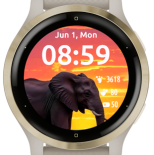 African Elephant Sunset · Screenshot 0