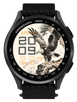 Cloud Eagle 3