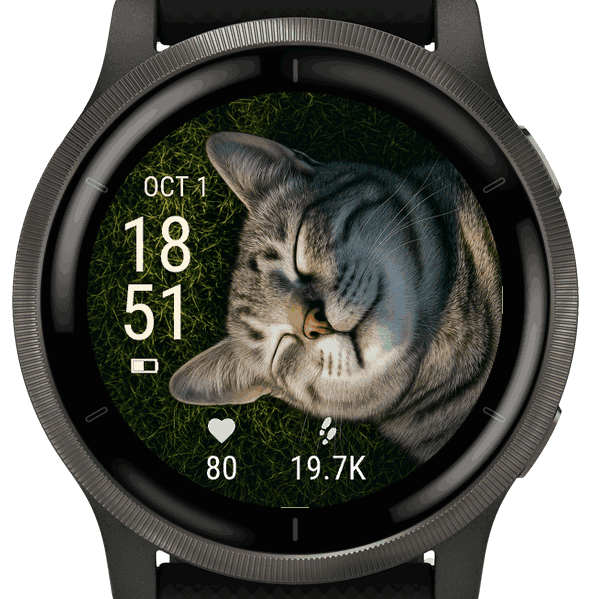 sleeping cat portrait · Screenshot 3