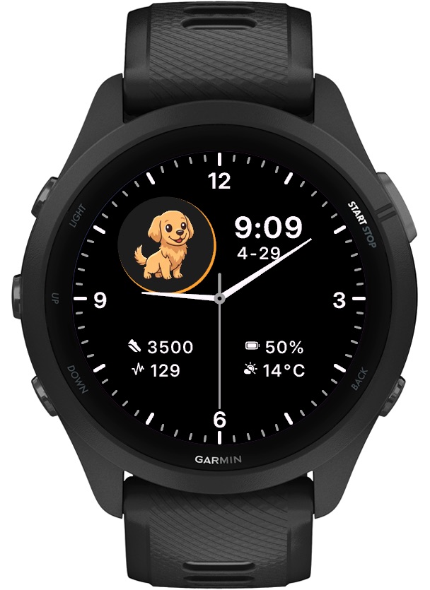 Pet Analog Animated - Golden Retriever Dog - Kpay 2
