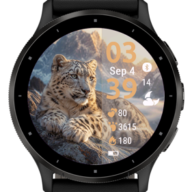 Snow Leopard · Screenshot 1