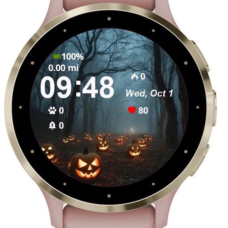 Pumpkins Path · Screenshot 0