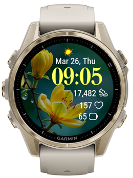 Yellow Magnolia · Screenshot 3