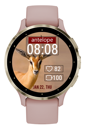 Beautiful Antelope · Screenshot 2