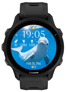 Beluga Whale · Screenshot 0