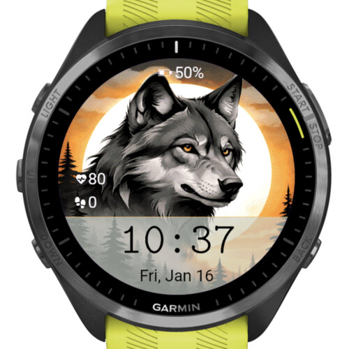 Wolf Moon · Screenshot 1