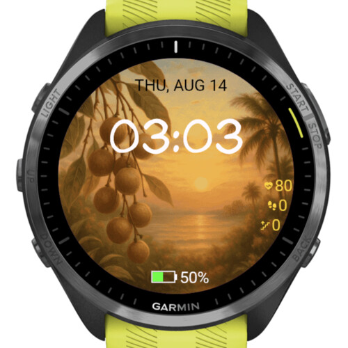 Longan Sunrise Tropics · Screenshot 0