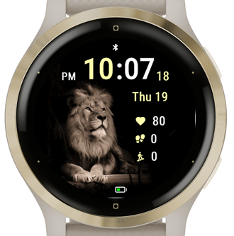 Shadow Lion · Screenshot 2