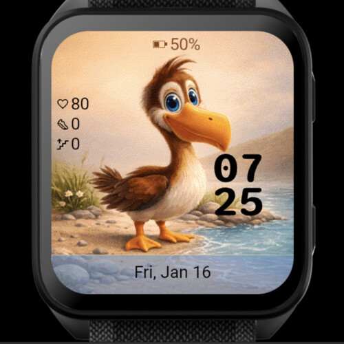 Cute Duck 4