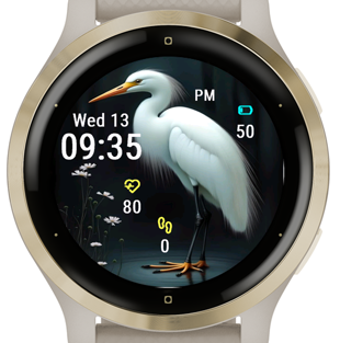 White Egret · Screenshot 3