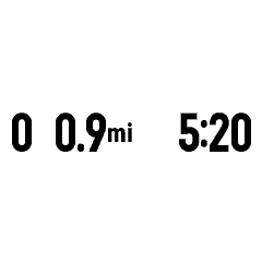 Auto Lap Counter Monitor [hLapMonitor] · Screenshot 1