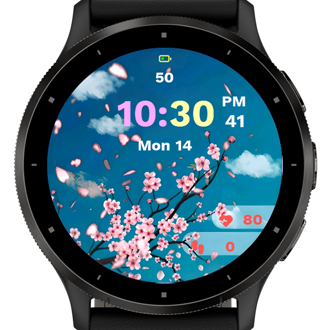 Spring Watch · Screenshot 0