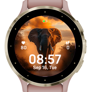 Sunset Elephant · Screenshot 0