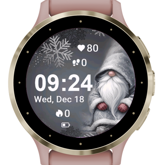 Winter Gnome · Screenshot 0
