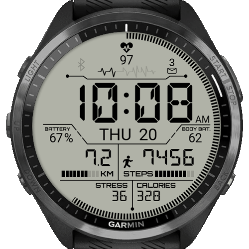 DigitalScreen watch face for Forerunner 170