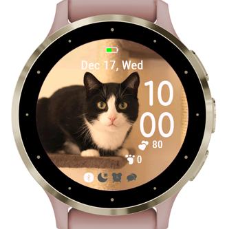 Cozy Whiskers · Screenshot 2