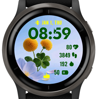 Small Chrysanthemum · Screenshot 0