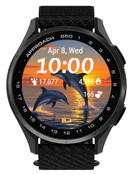 Sunset Dolphin · Screenshot 3