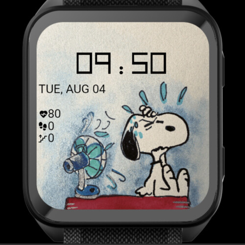 The Fan · Screenshot 1