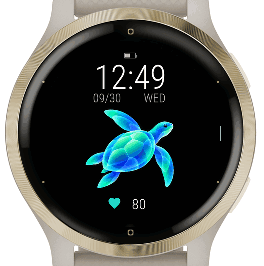 Jade Turtle · Screenshot 2