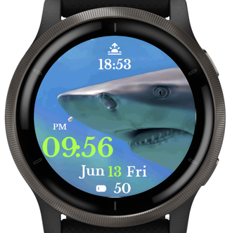 Shark Watch · Screenshot 2