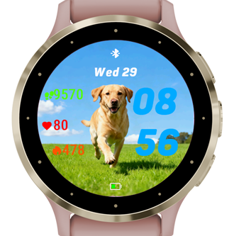 Happy Labrador · Screenshot 3
