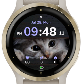 Box Kitty · Screenshot 2