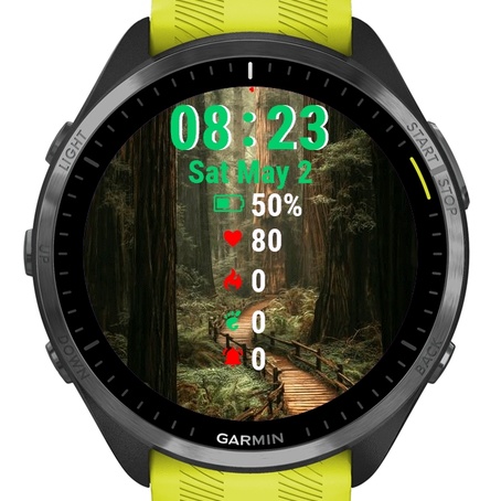 Wooden Path Through Forest · Screenshot 0