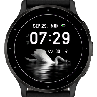 White Swan · Screenshot 1