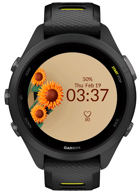 Sunflowers 5