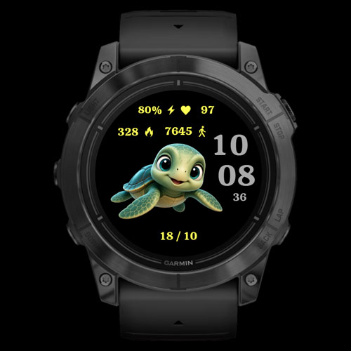 Tiny Turtle · Screenshot 2