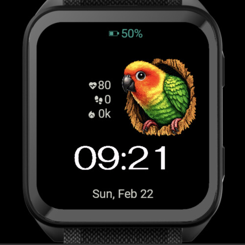 Tropical Parrot 3