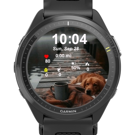 Cute Little Dog · Screenshot 0