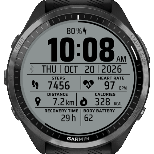 New Gray Info · Screenshot 0