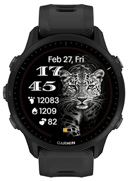 Leopard Two · Screenshot 0