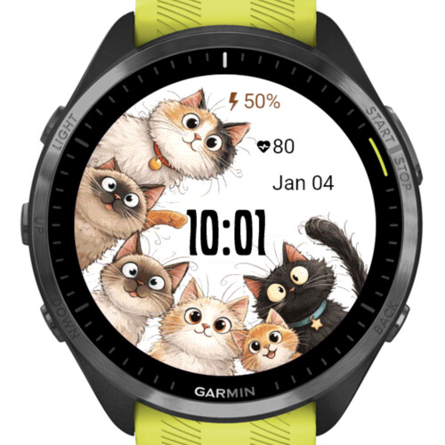 Cats · Screenshot 1