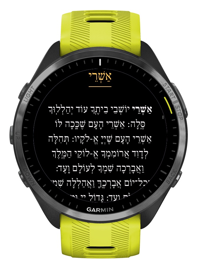 Siddur · Screenshot 1