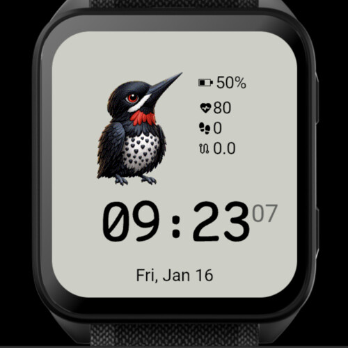 Cute Woodpecker 4