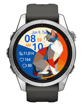 Geo Cat · Screenshot 2