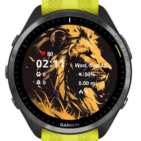The Leopardo · Screenshot 0