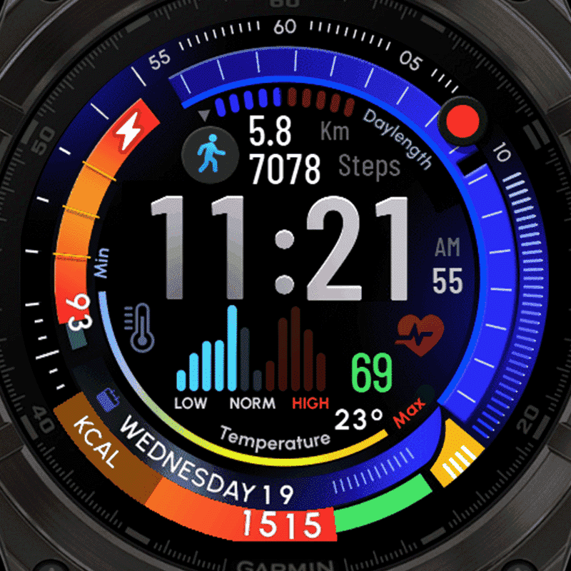 Fenix 8 - FUSION - Full Data 5