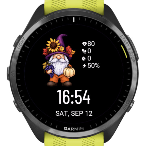 Thanksgiving Gnome · Screenshot 2