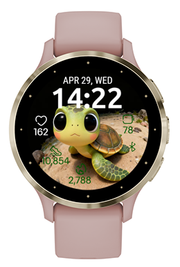 Cartoon Turtle · Screenshot 2
