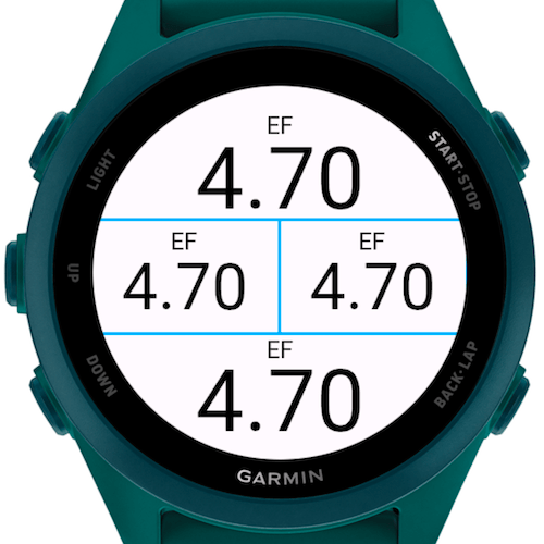 EF (Efficiency Factor) DataField · Screenshot 0