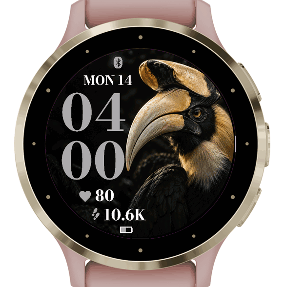 Onyx Hornbill · Screenshot 0
