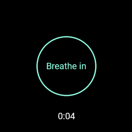 Breath Pacer - Paced Breathing Timer · Screenshot 0