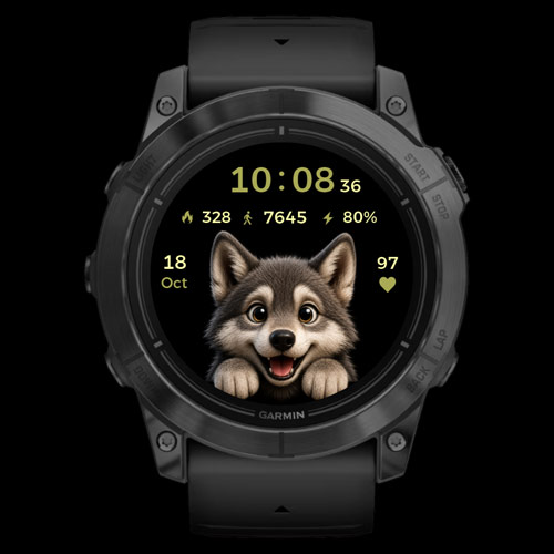 Wolf Time  2
