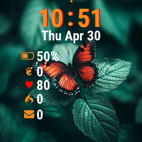 Butterfly Sitting Top Leaf 2