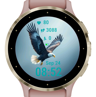 Eagle Soar · Screenshot 3