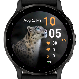 Snow Leopard · Screenshot 1